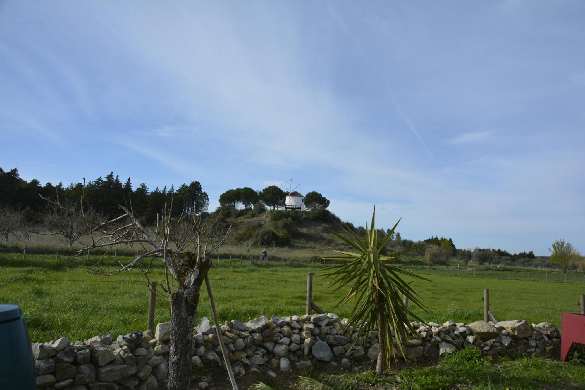 Casa Da Lima - Nestled In Nature On Santiago'S And Fatima'S Path, Close To Coimbra And Rabacal Alvorge 外观 照片