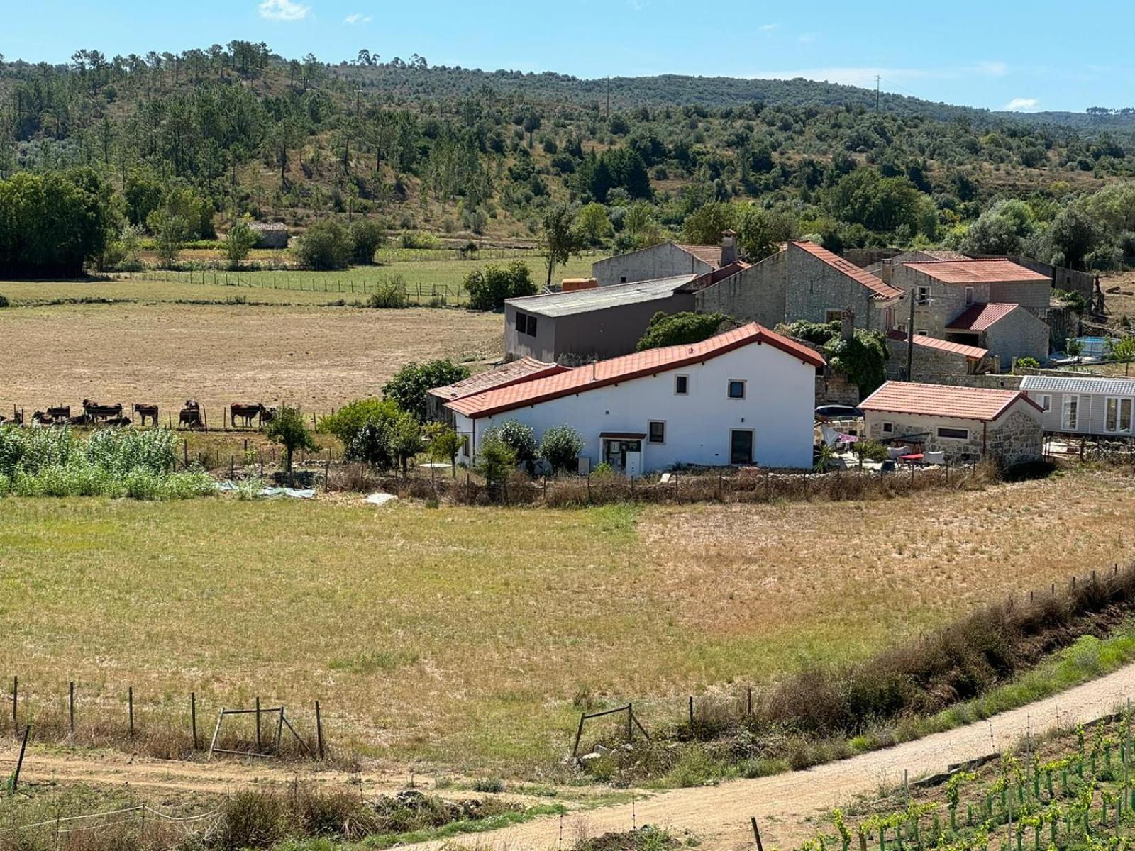 Casa Da Lima - Nestled In Nature On Santiago'S And Fatima'S Path, Close To Coimbra And Rabacal Alvorge 外观 照片
