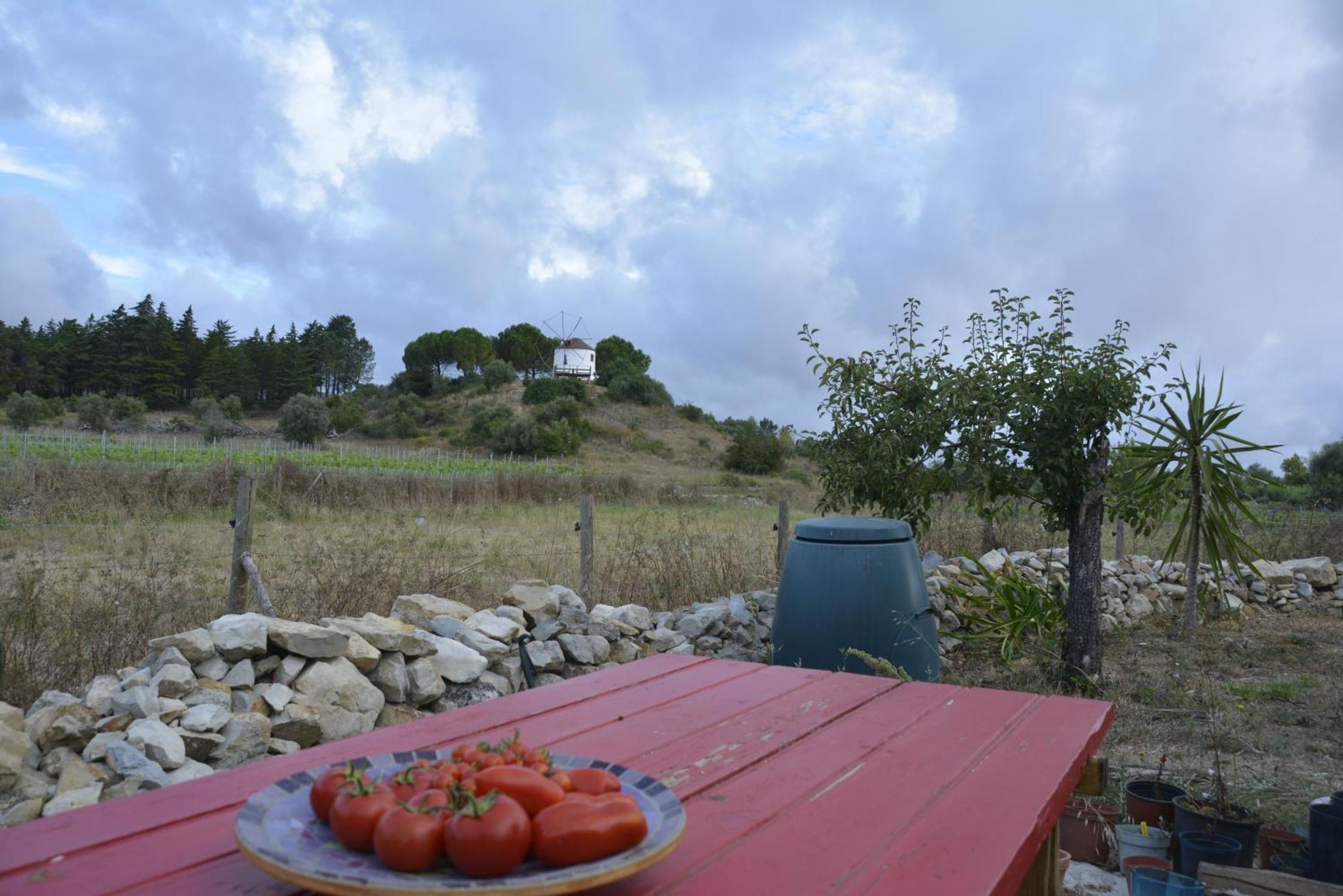 Casa Da Lima - Nestled In Nature On Santiago'S And Fatima'S Path, Close To Coimbra And Rabacal Alvorge 外观 照片
