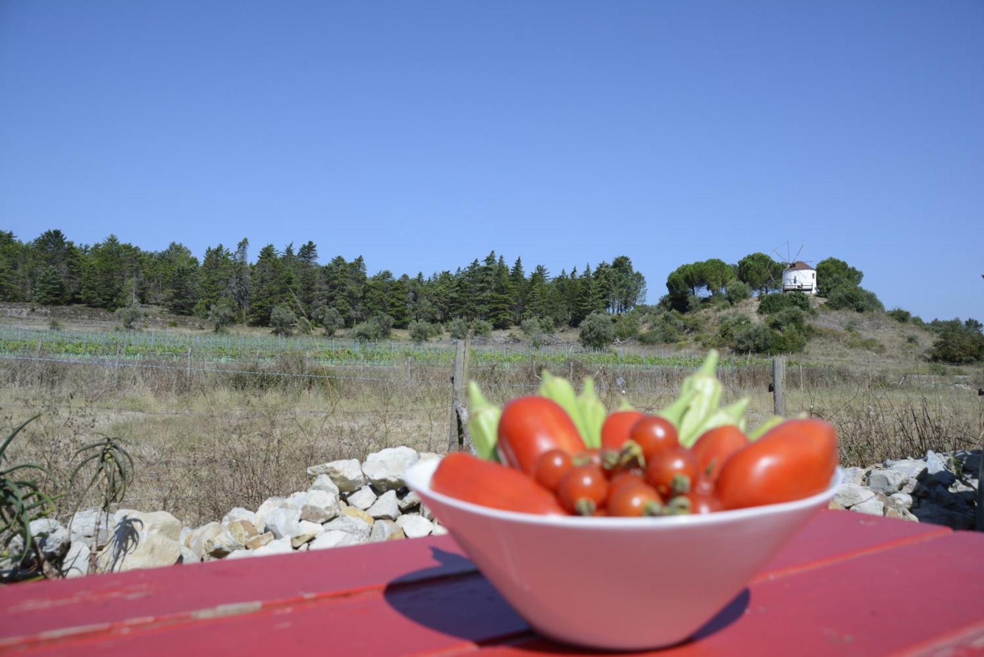 Casa Da Lima - Nestled In Nature On Santiago'S And Fatima'S Path, Close To Coimbra And Rabacal Alvorge 外观 照片