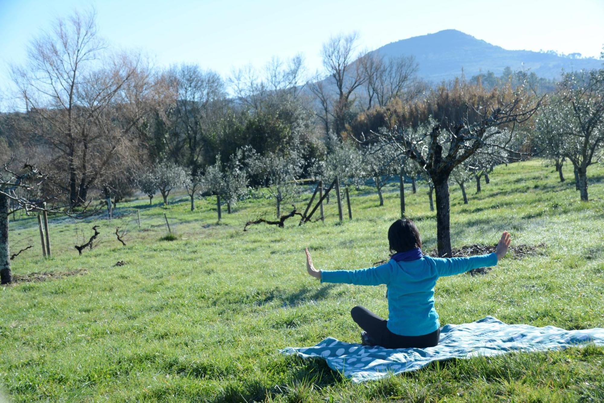 Casa Da Lima - Nestled In Nature On Santiago'S And Fatima'S Path, Close To Coimbra And Rabacal Alvorge 外观 照片